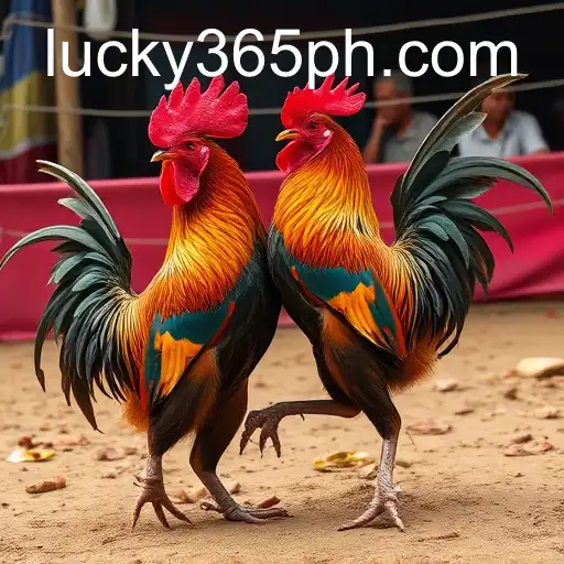 Sabong Games and the Digital Revolution: A New Era with 365PH.COM